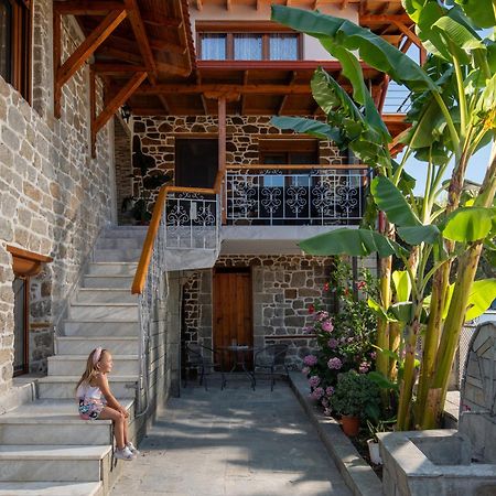 Villa House Draganis à Sykia Chalkidikis Extérieur photo