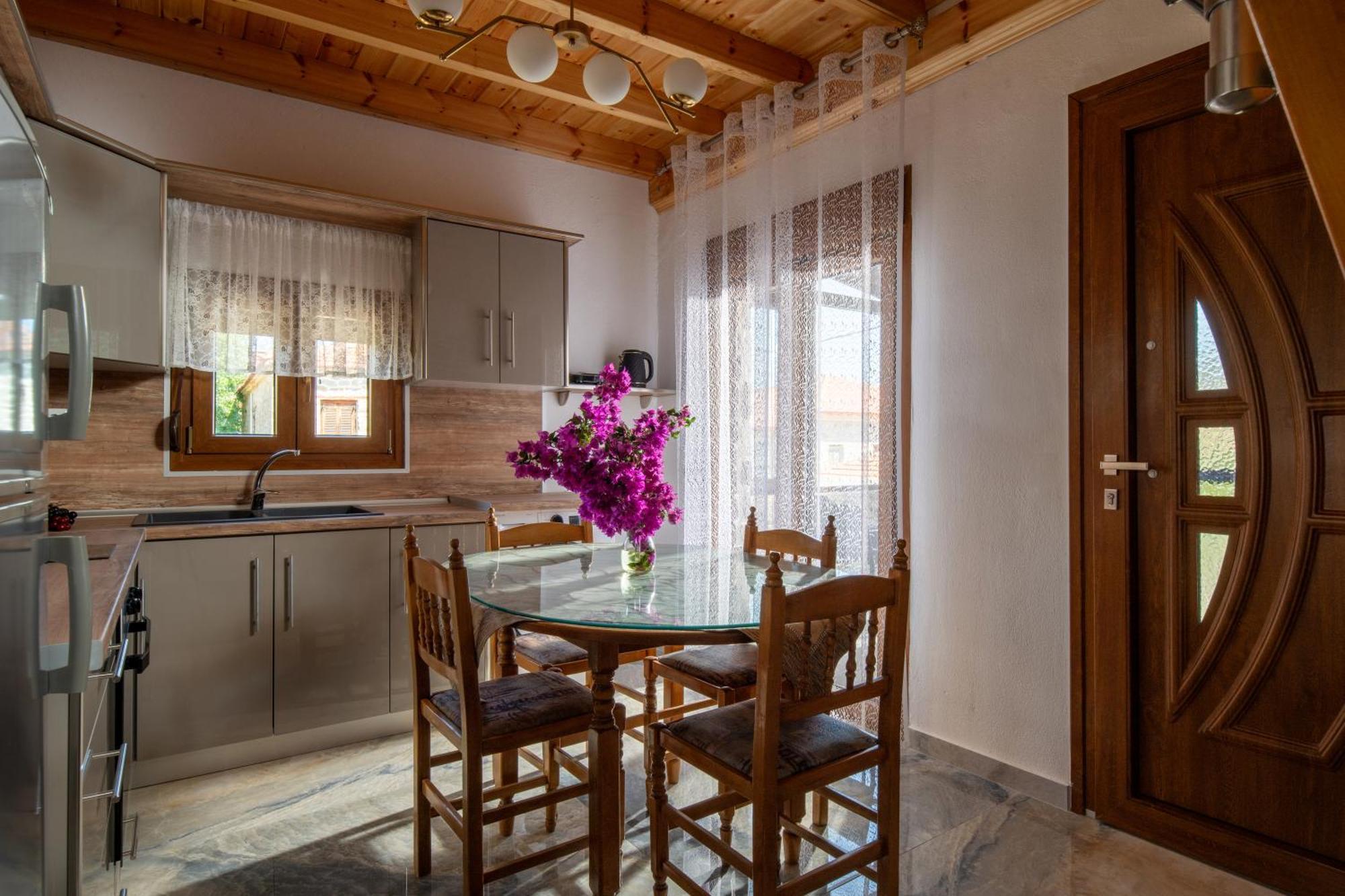 Villa House Draganis à Sykia Chalkidikis Extérieur photo